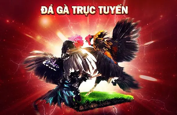 Tìm đúng nội dung về Bet999 - Bet999