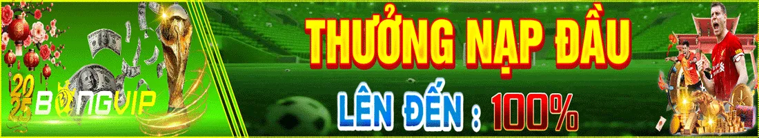 Tìm đúng nội dung về Jili - Jili